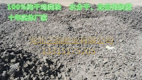 干鸡粪报价 厂家