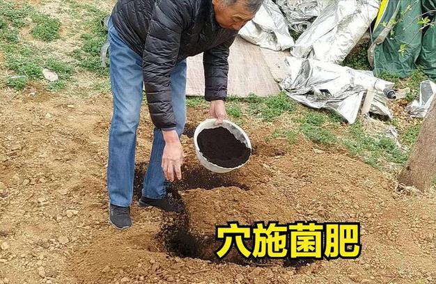 除产品外,方法占第一